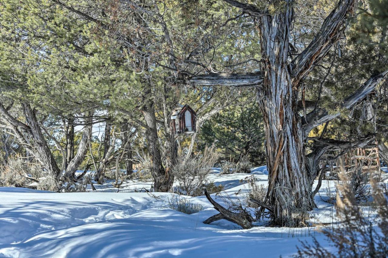 Вілла Eagles Landing A Quiet Colorado Mountain Escape Екстер'єр фото